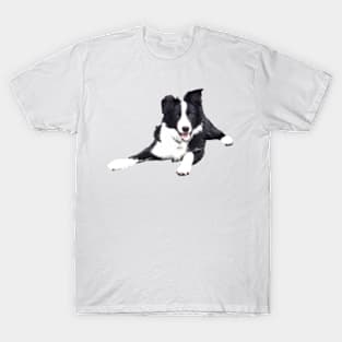 Border Collie on a white background T-Shirt